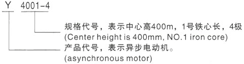 西安泰富西玛Y系列(H355-1000)高压莲湖三相异步电机型号说明
